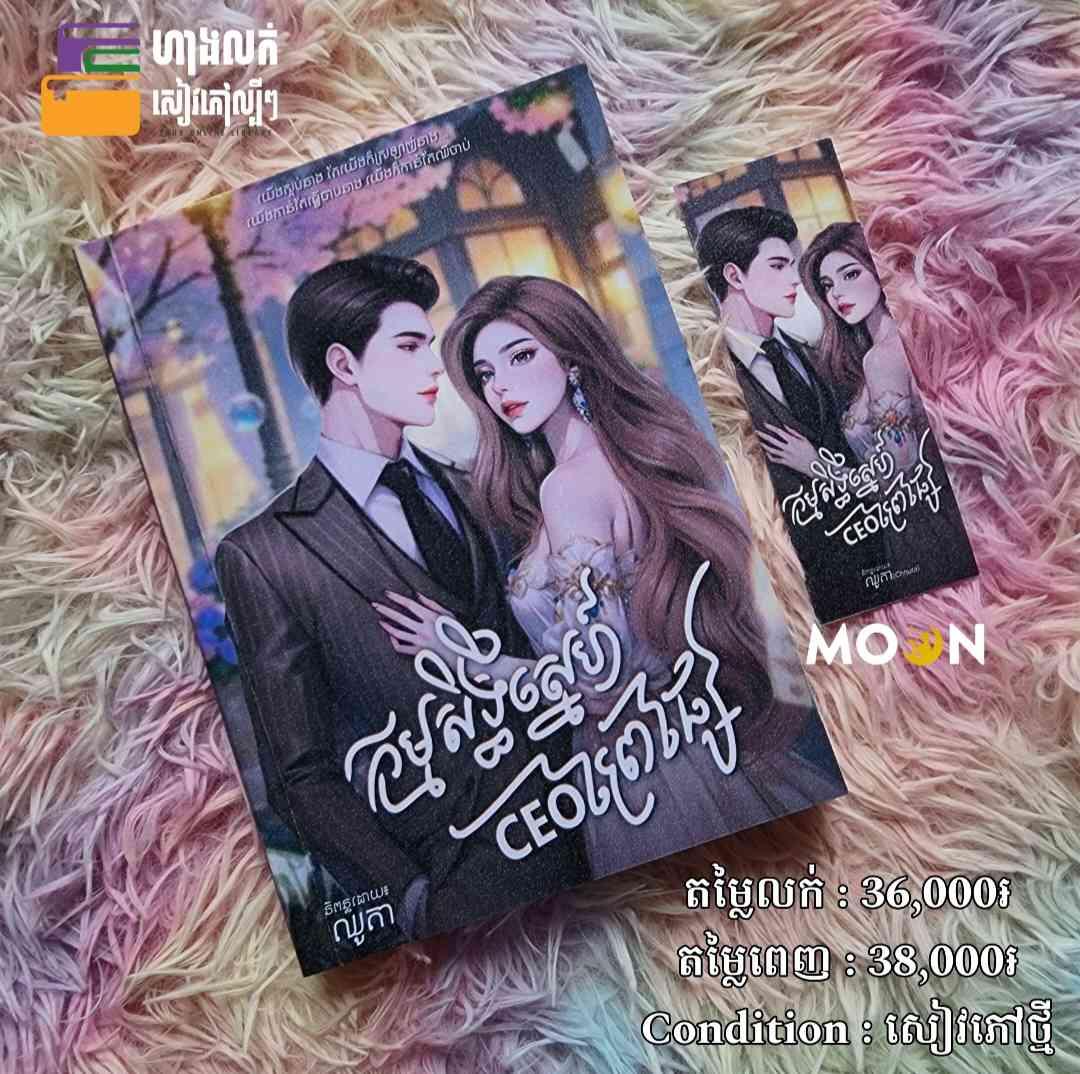 កម្មសិទ្ធិស្នេហ៍CEOព្រៃផ្សៃ