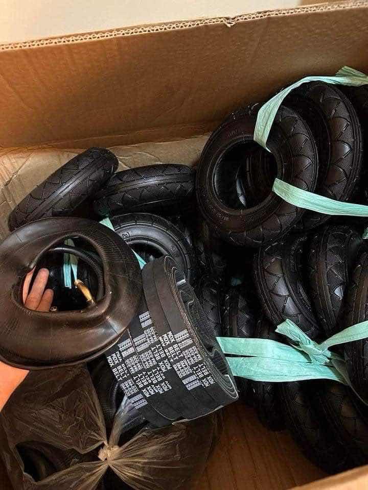 សំបកកង់ស្គី និង ពោះវៀន