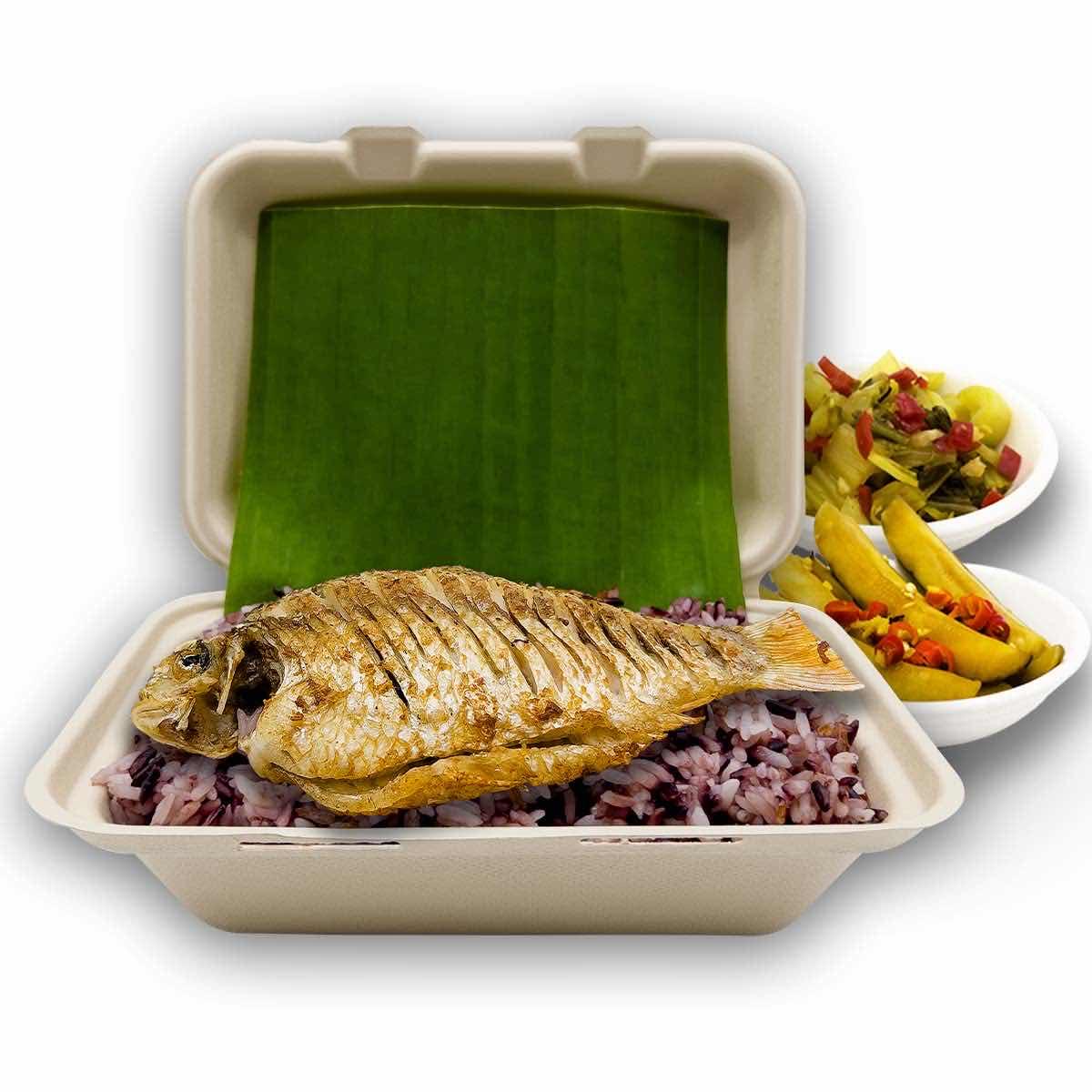 បាយសម្រូបត្រីចៀន (Brown Rice with Fried Fish)