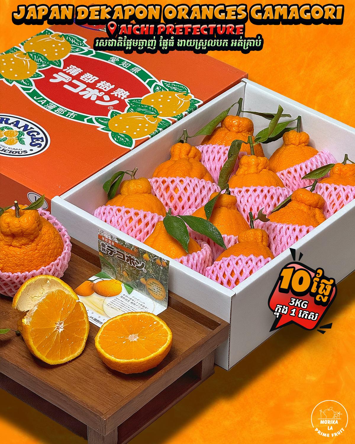 Japan Dekapon Oranges Gamagori Gift Box