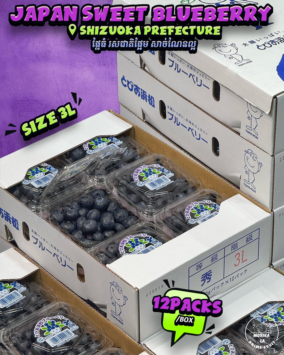 Japan Shizuoka Blueberry 3L 🫐 