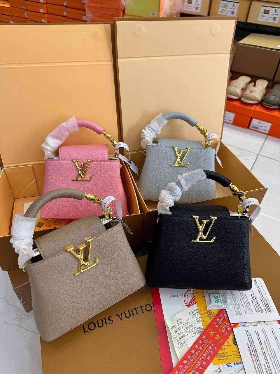 ការបូប LV 