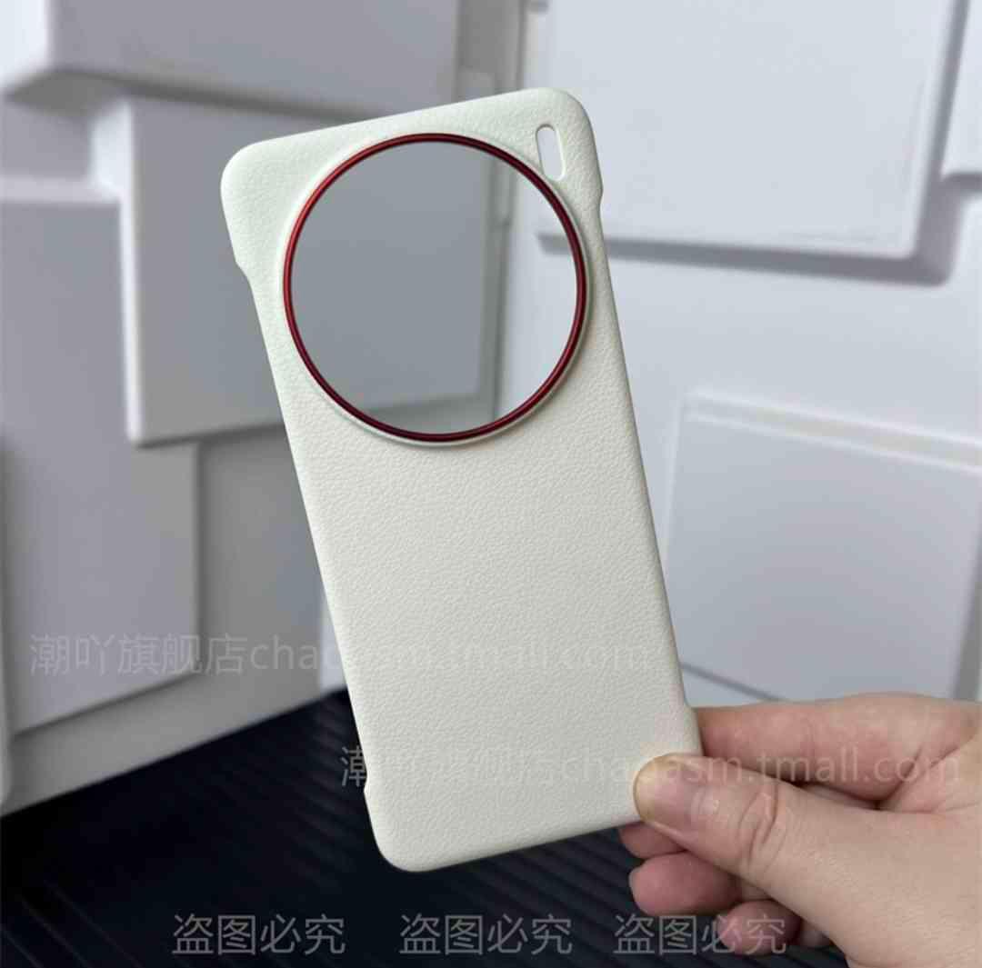 Case Vivo X200 Pro