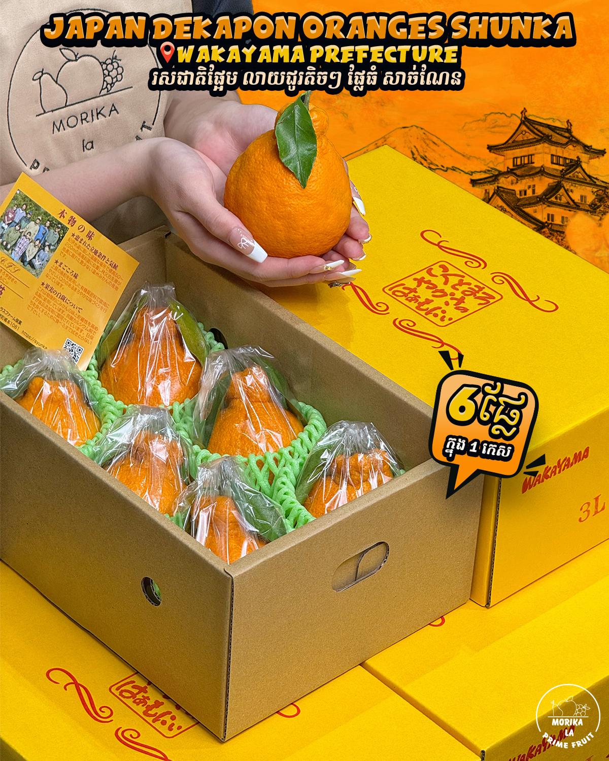 Japan Dekapon Oranges Shunka Gift Box 🍊