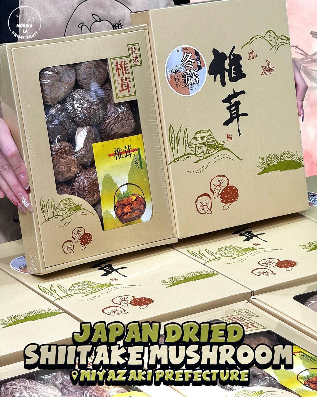 Japan Miyazaki Dried Mushroom 