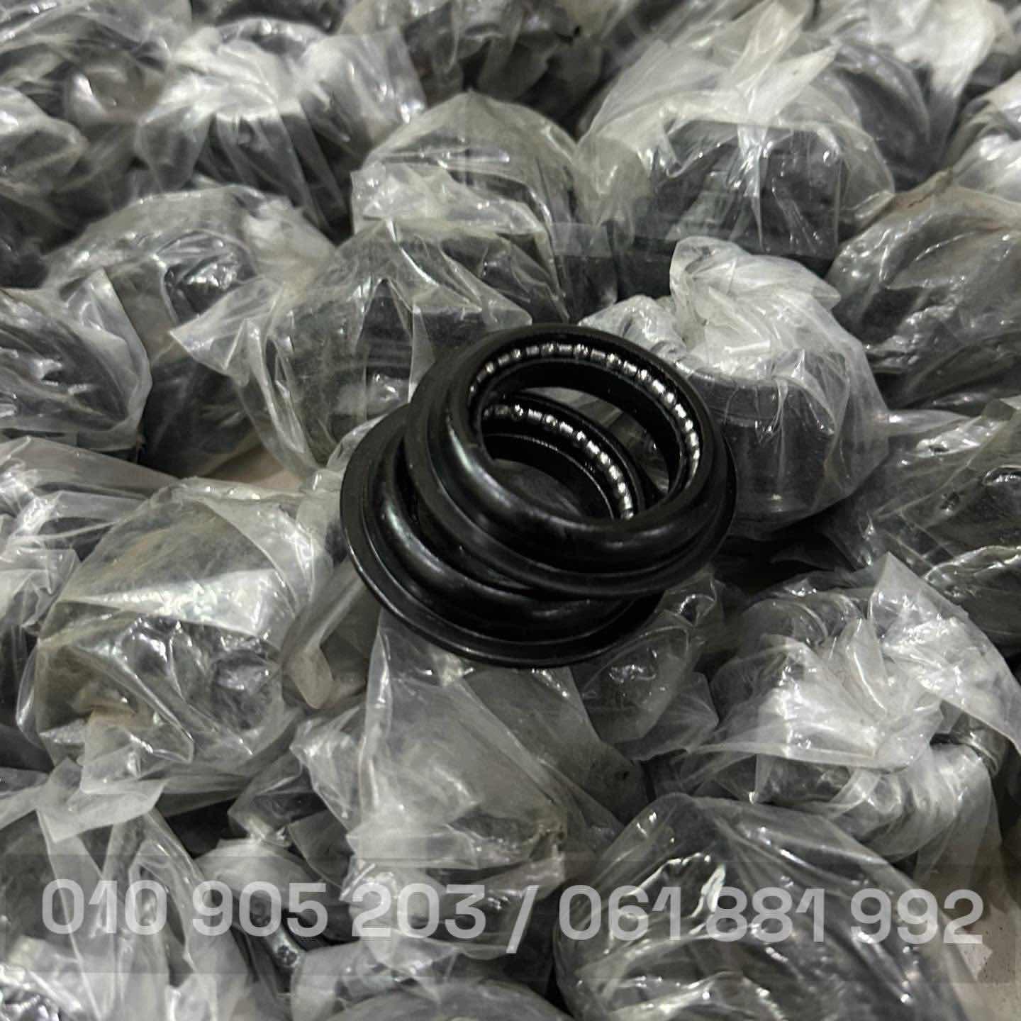 បាដាងកធំ