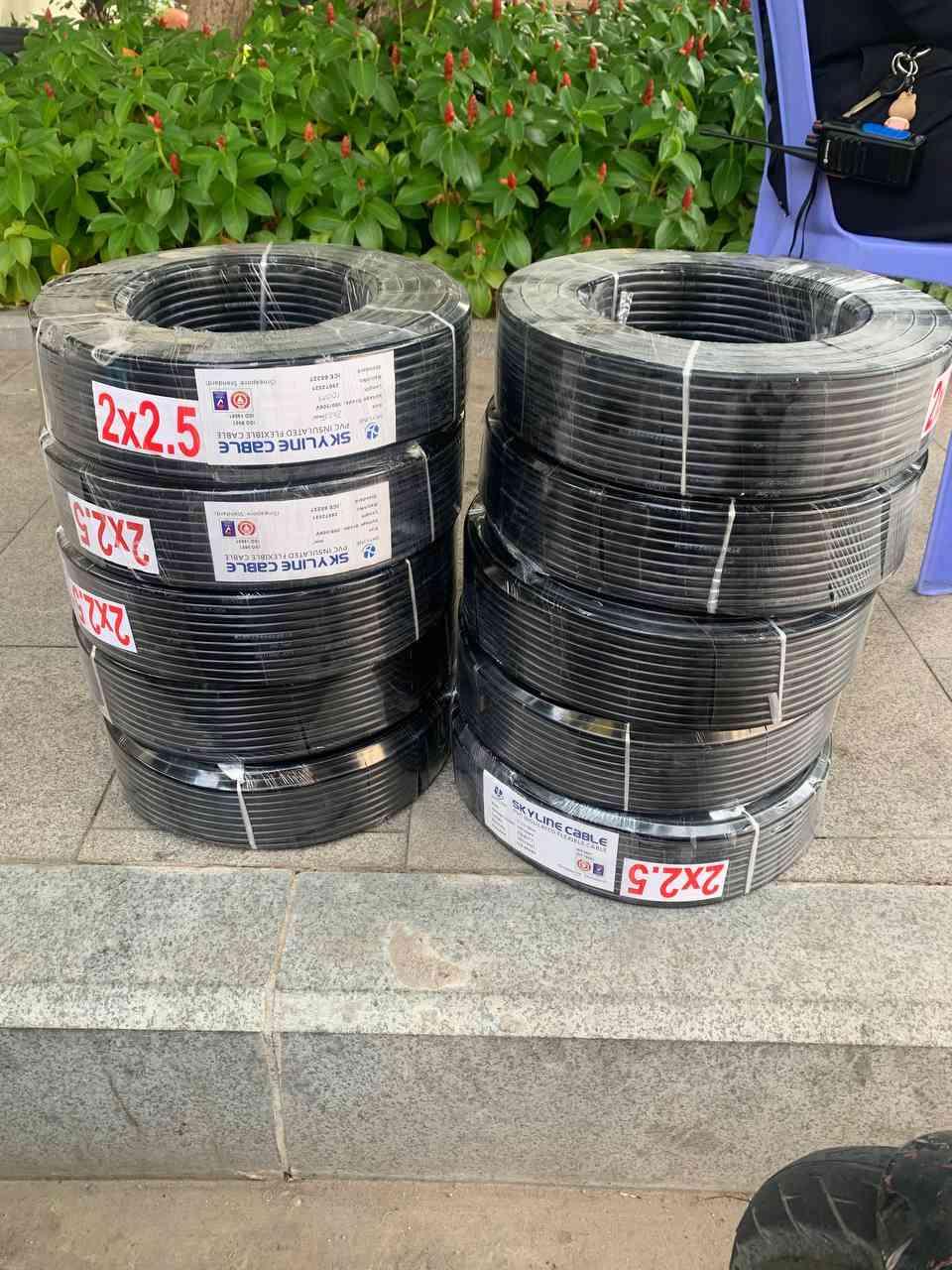 ខ្សែការពារទឹកសាំងហ្គាពួរ 2x2.5 Sq.mm