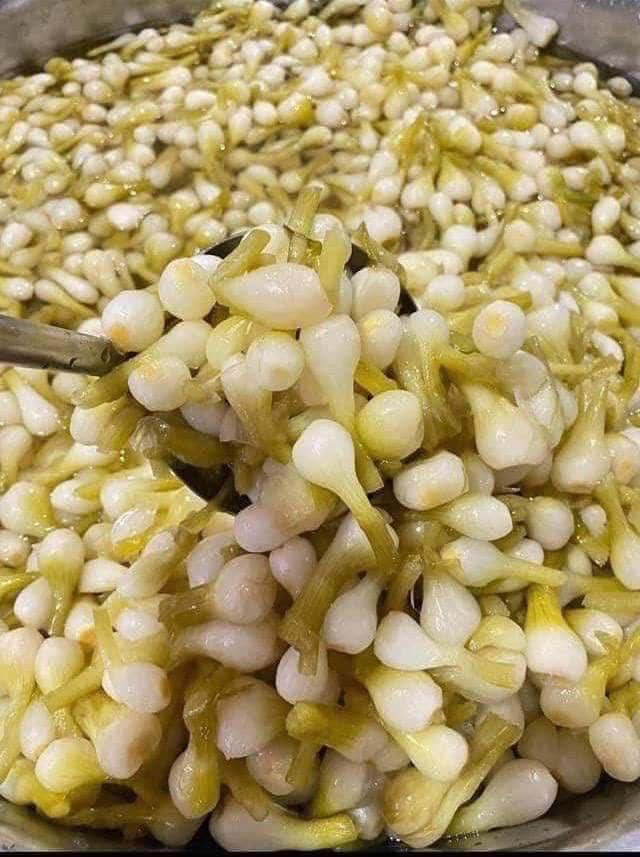 ជ្រក់គល់ខ្ទឹម 