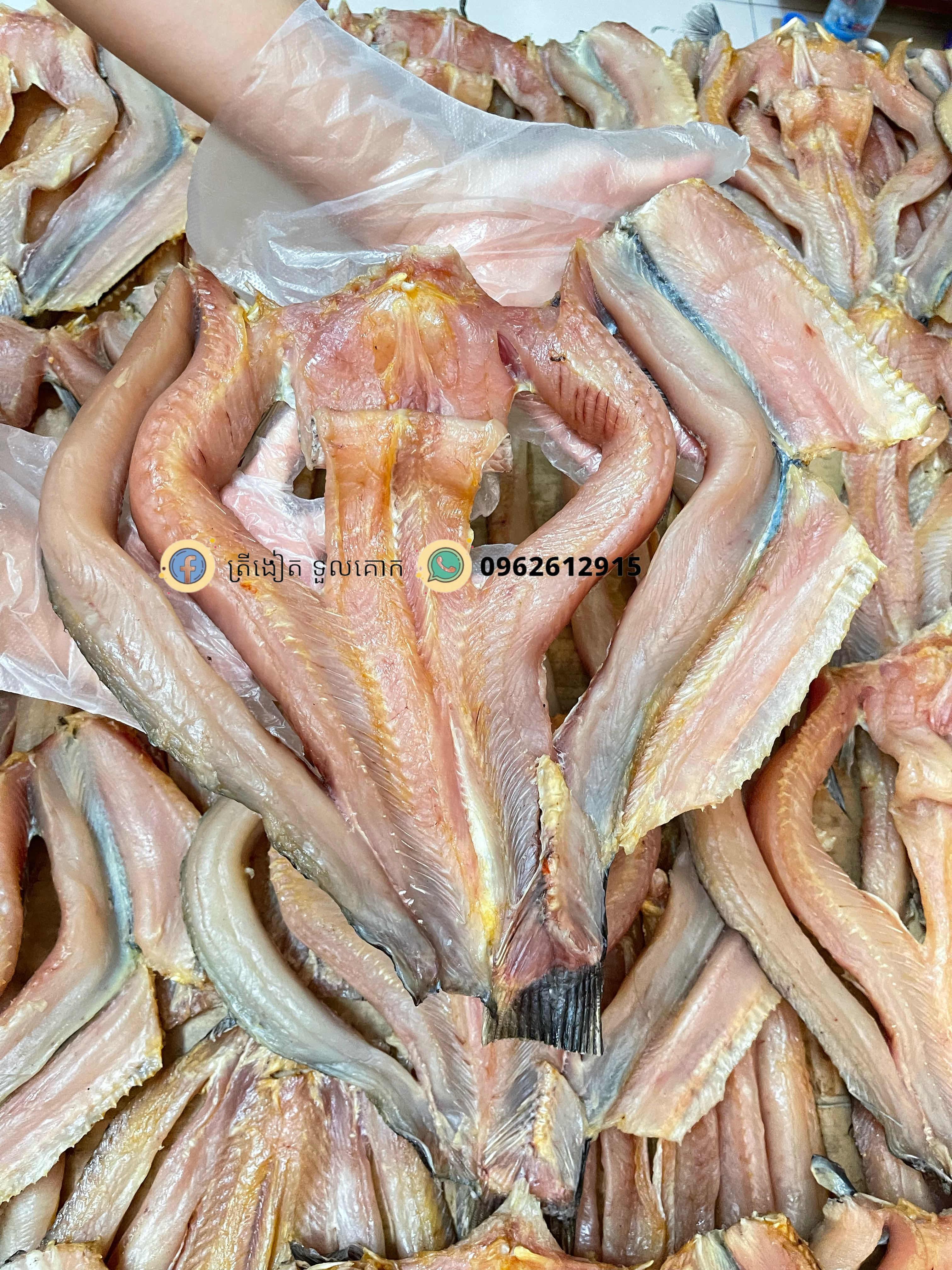 ងៀតត្រីឆ្តោឆ្អឹង