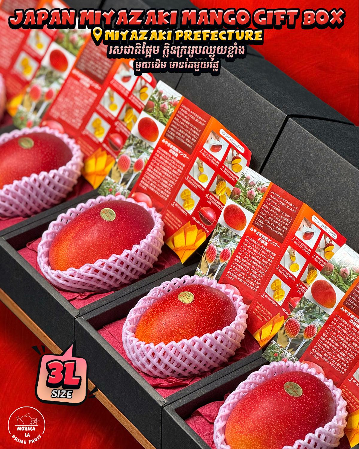 Japan Miyazaki Mango Gift Box 🥭