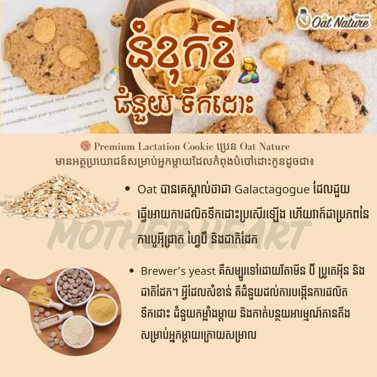 Lactation Cookie ញាំជំនួយការផលិតទឹកដោះ