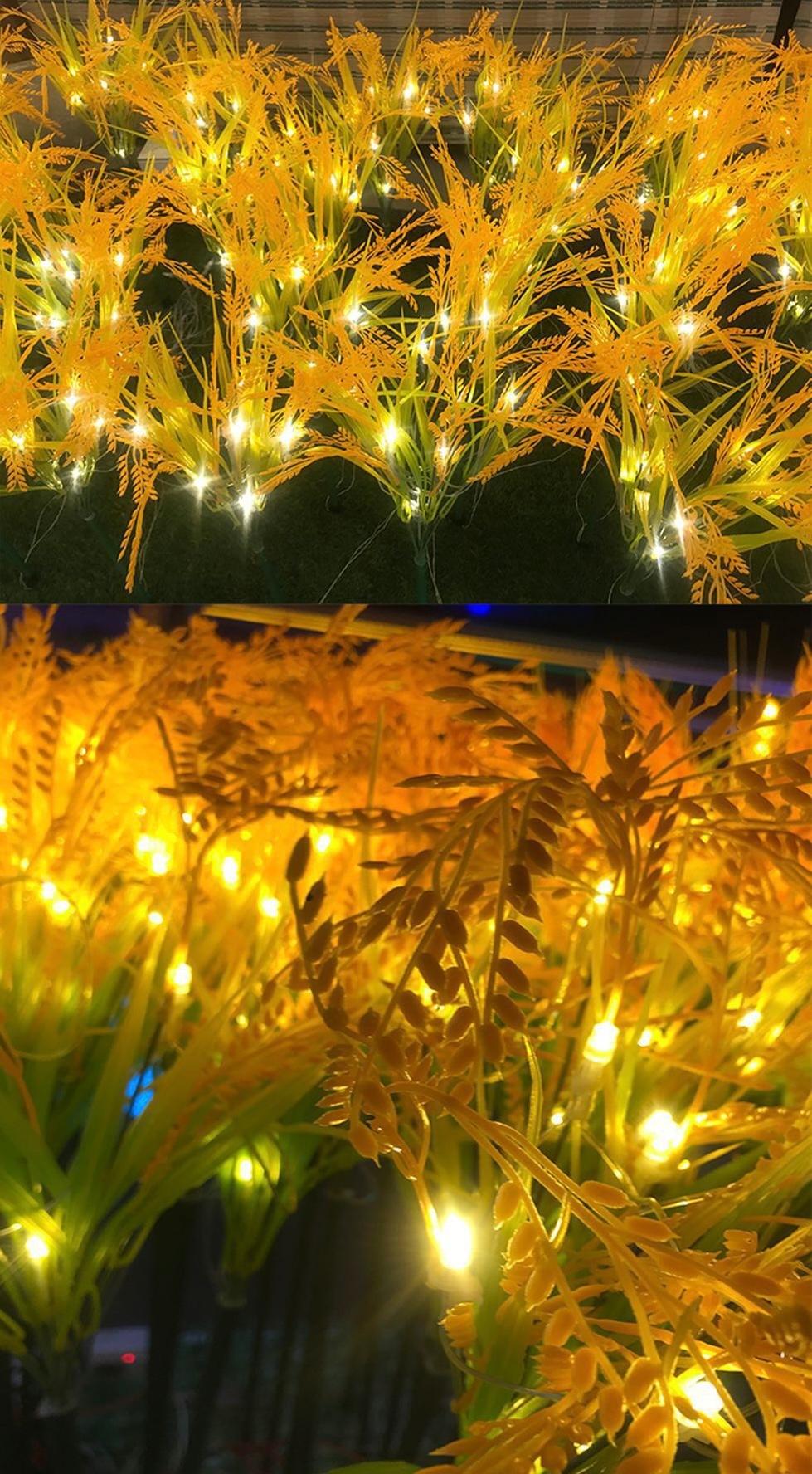 អំពូល solar lighting  *10ដើម