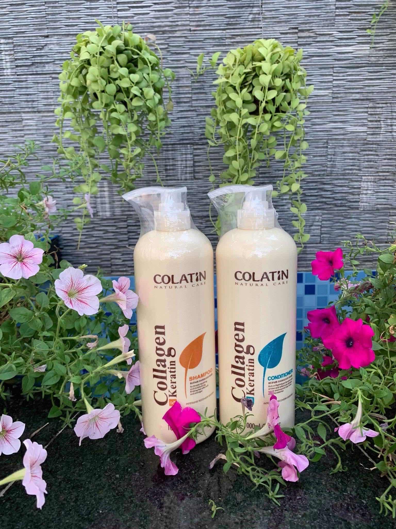 កក់អប់ Colatin