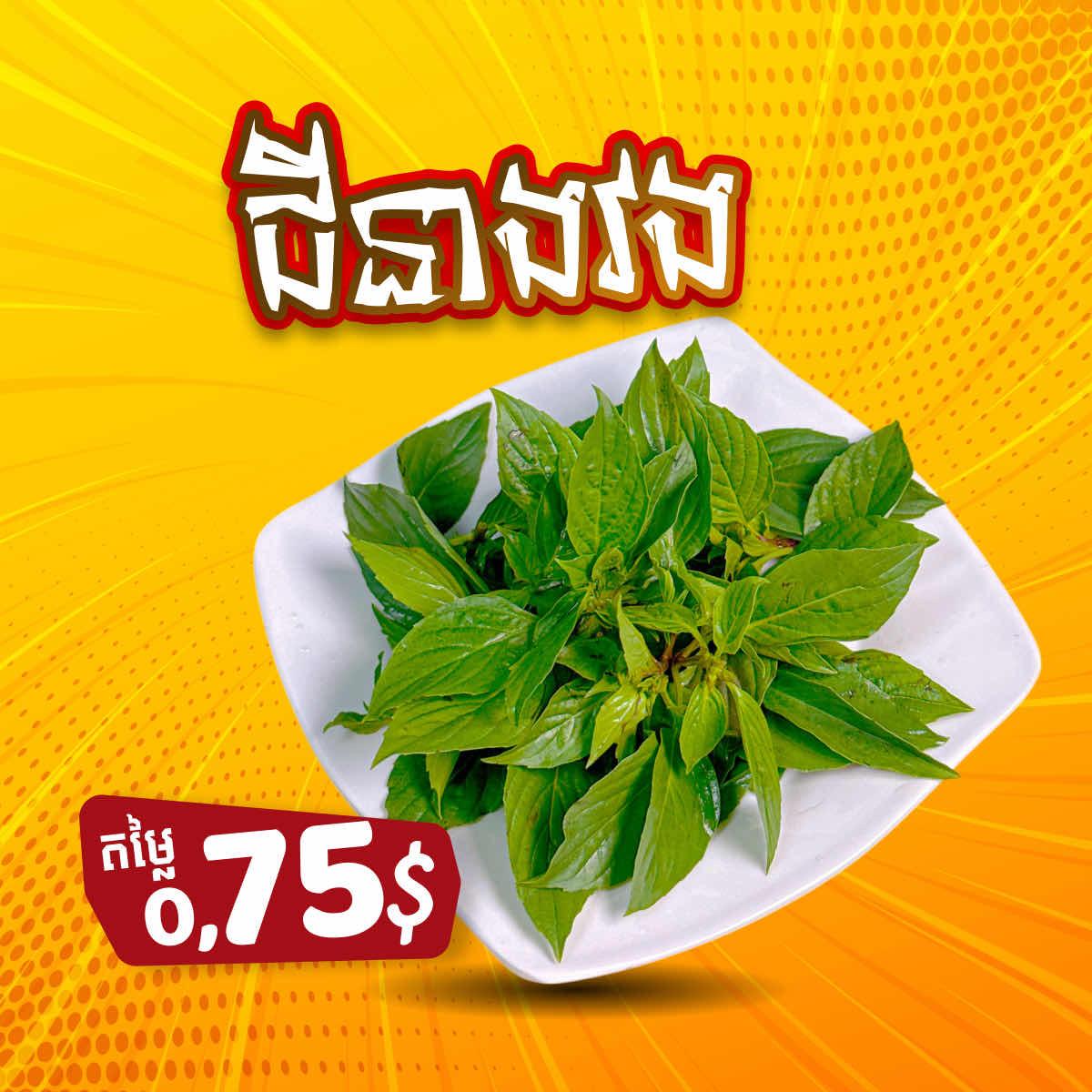 B4 ជីនាងវង