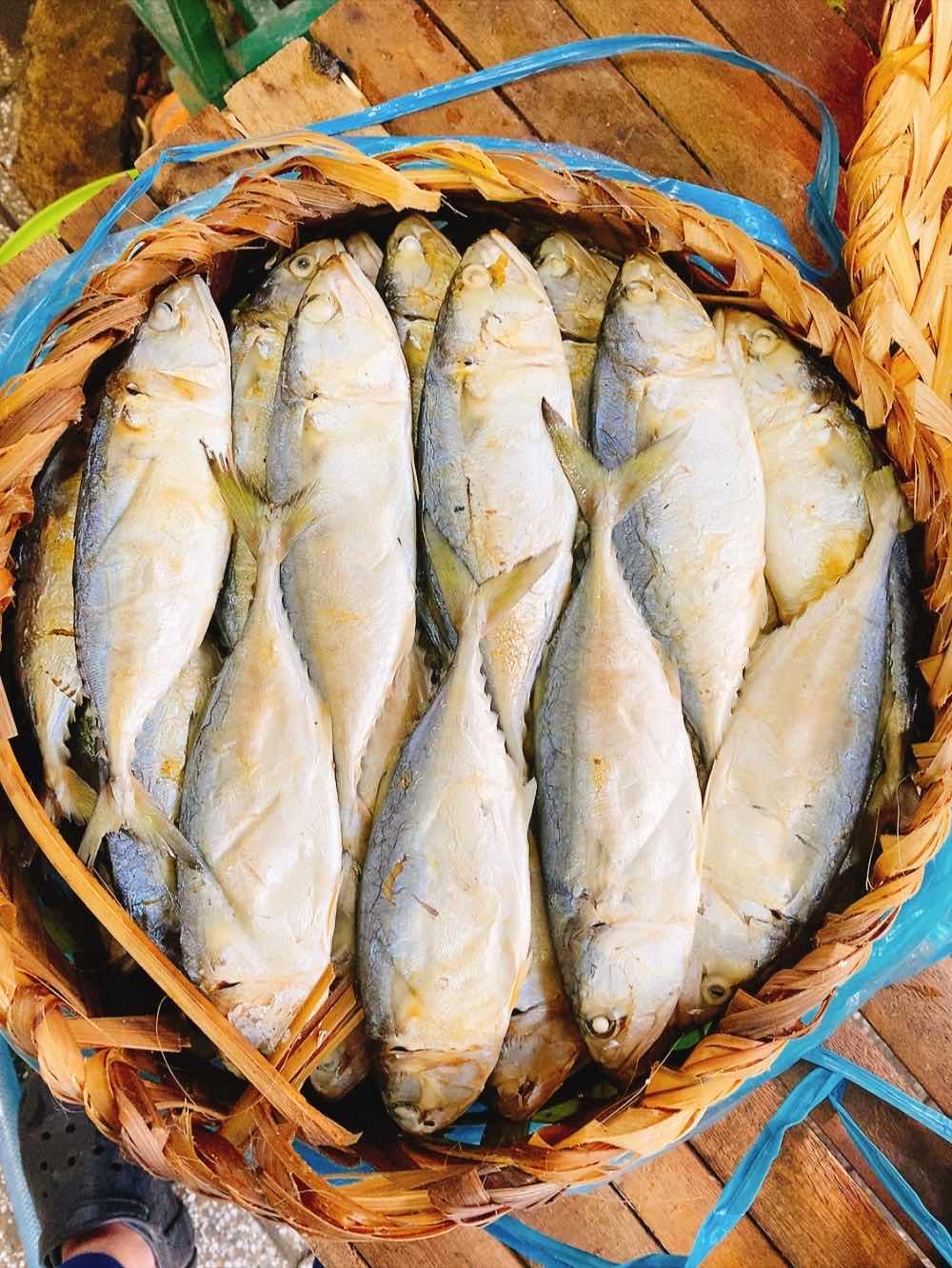 ត្រីចំហុយ