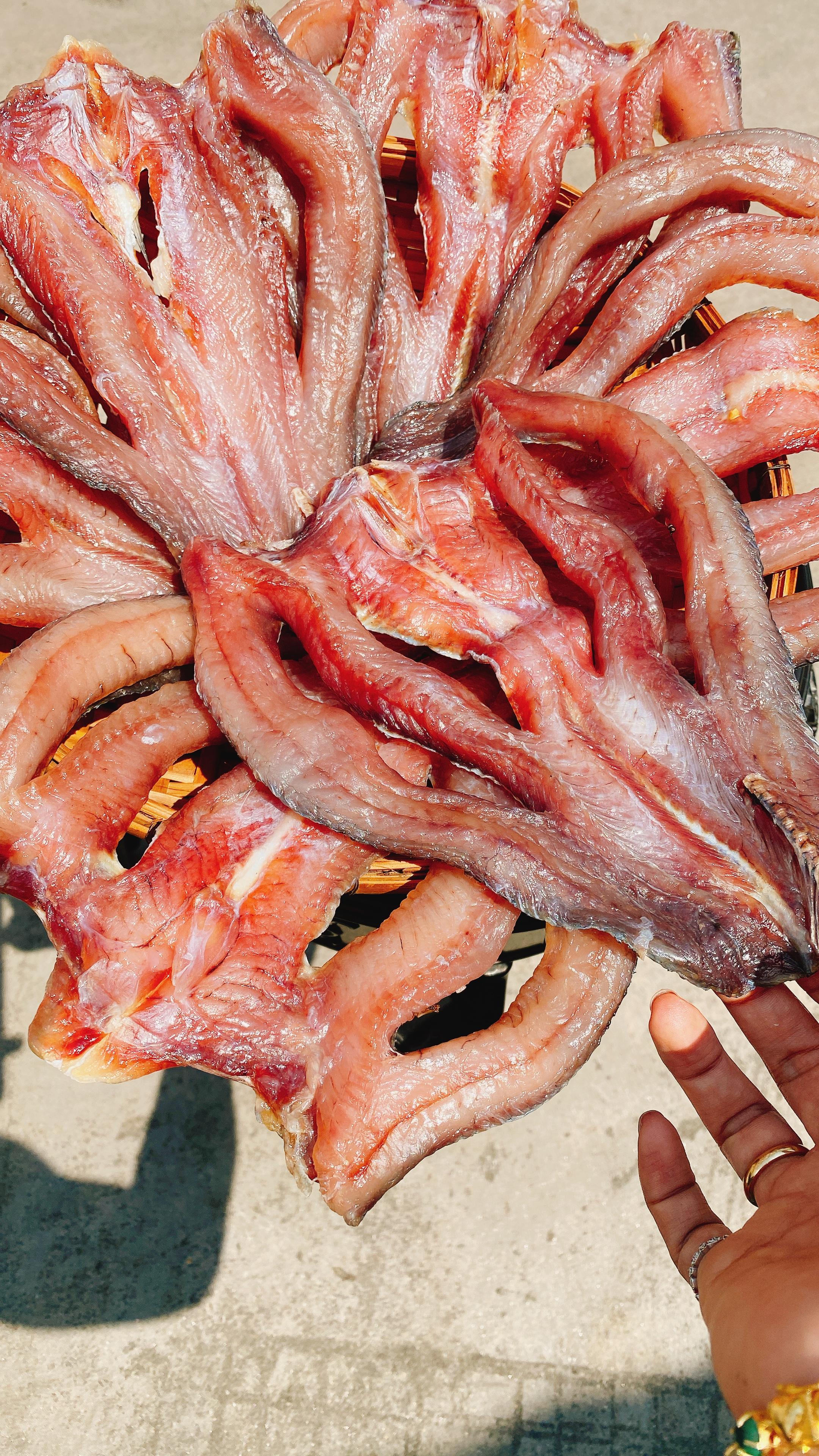 ងៀតត្រីរ៉ស់