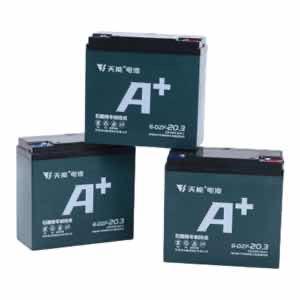 អាគុយ A+ 20AH 