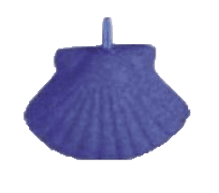 Shell （S）50×35mm