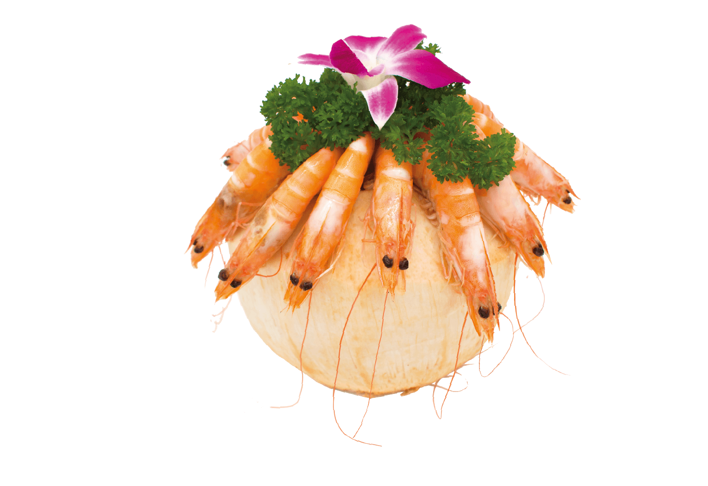 បង្គារស្រុះទឹកដូង