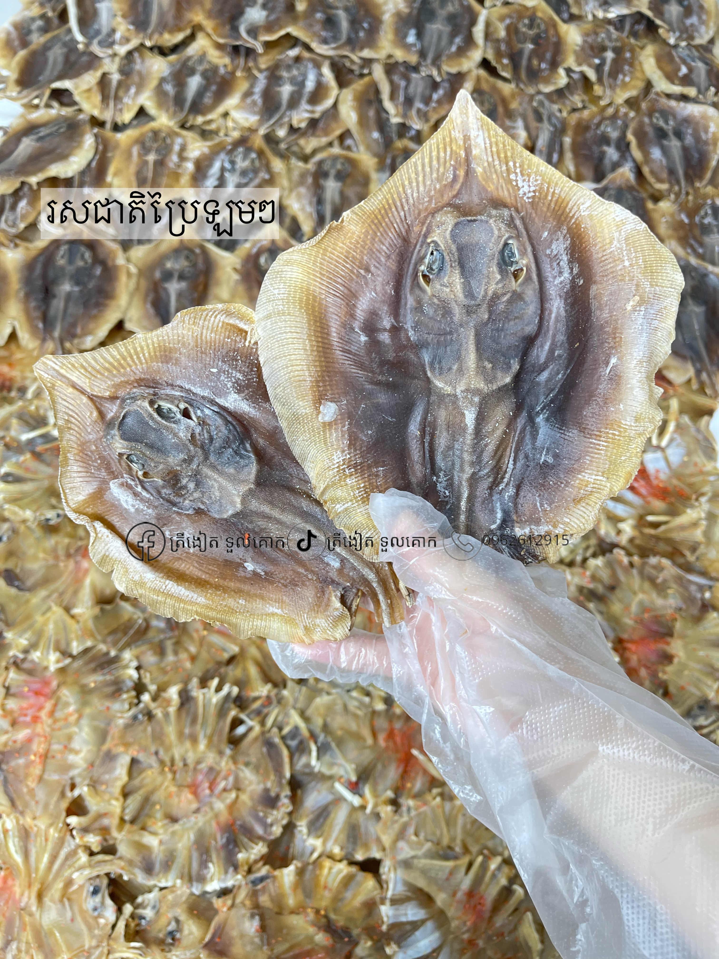ងៀតបបែមូល
