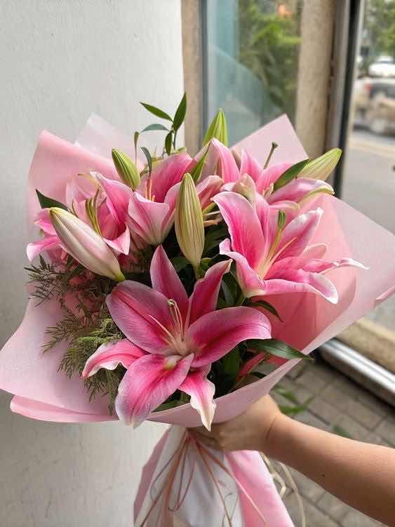 លីលី ឈូក