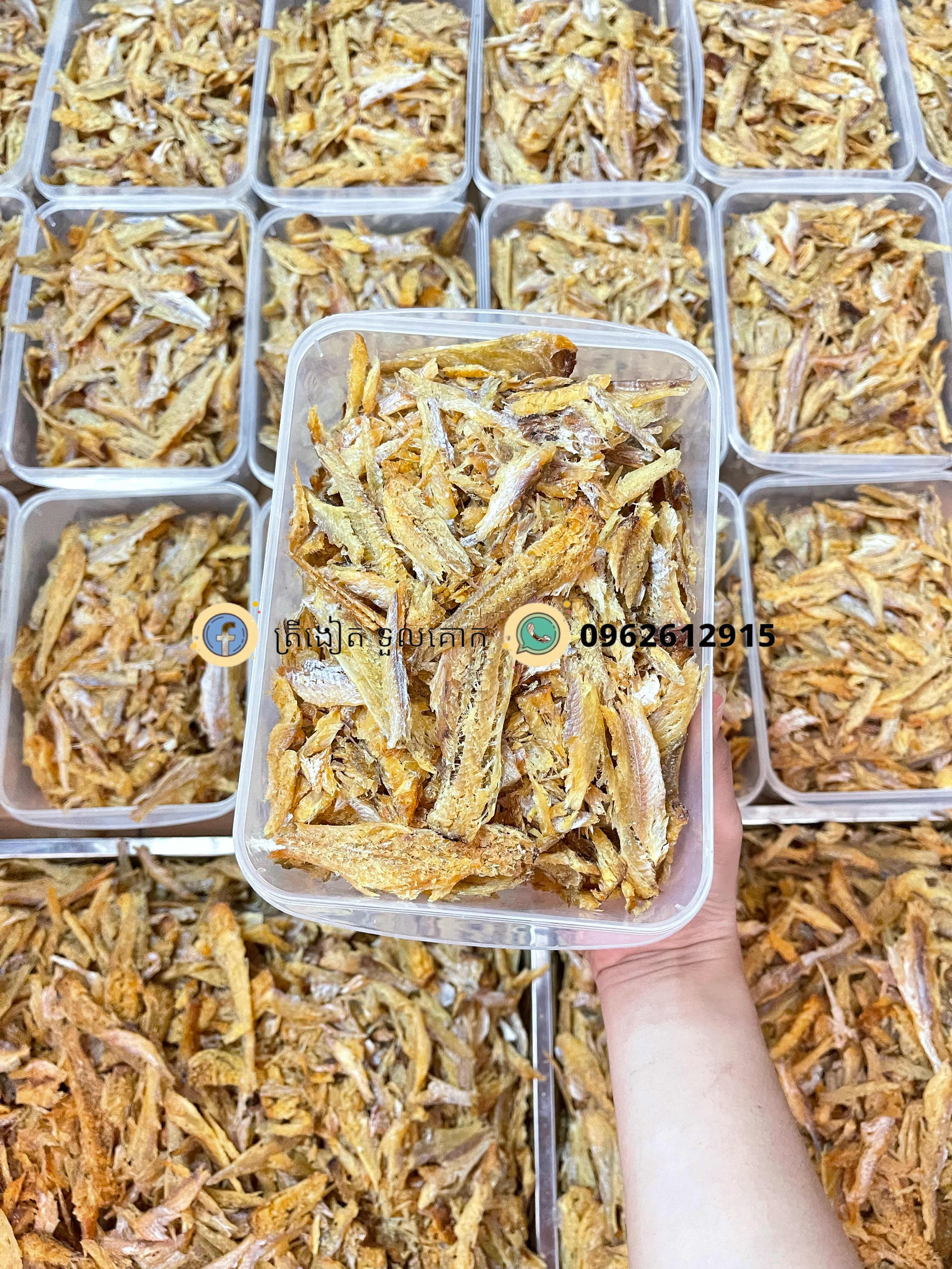 ត្រីឆ្អើបកសាច់ ត្រីរៀល