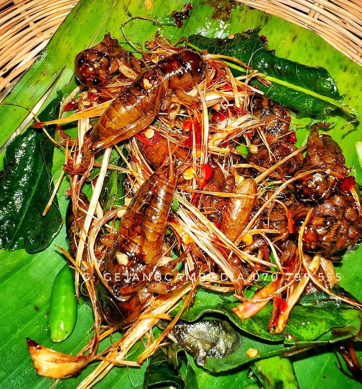 ចង្រិតលីង