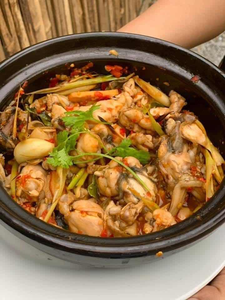 កង្កែបអប់អំបិលម្ទេស