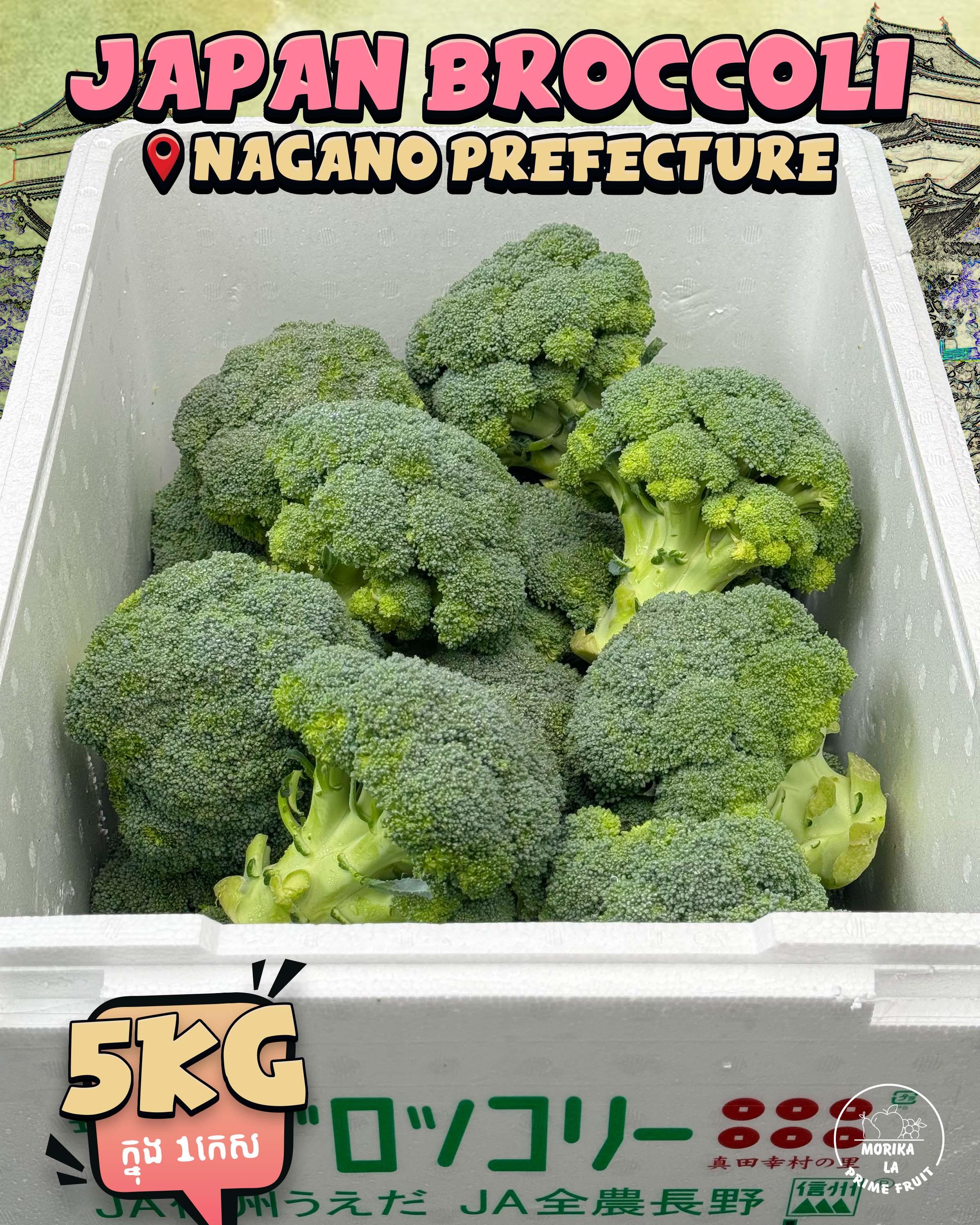 Japan Broccoli 🥦🇯🇵