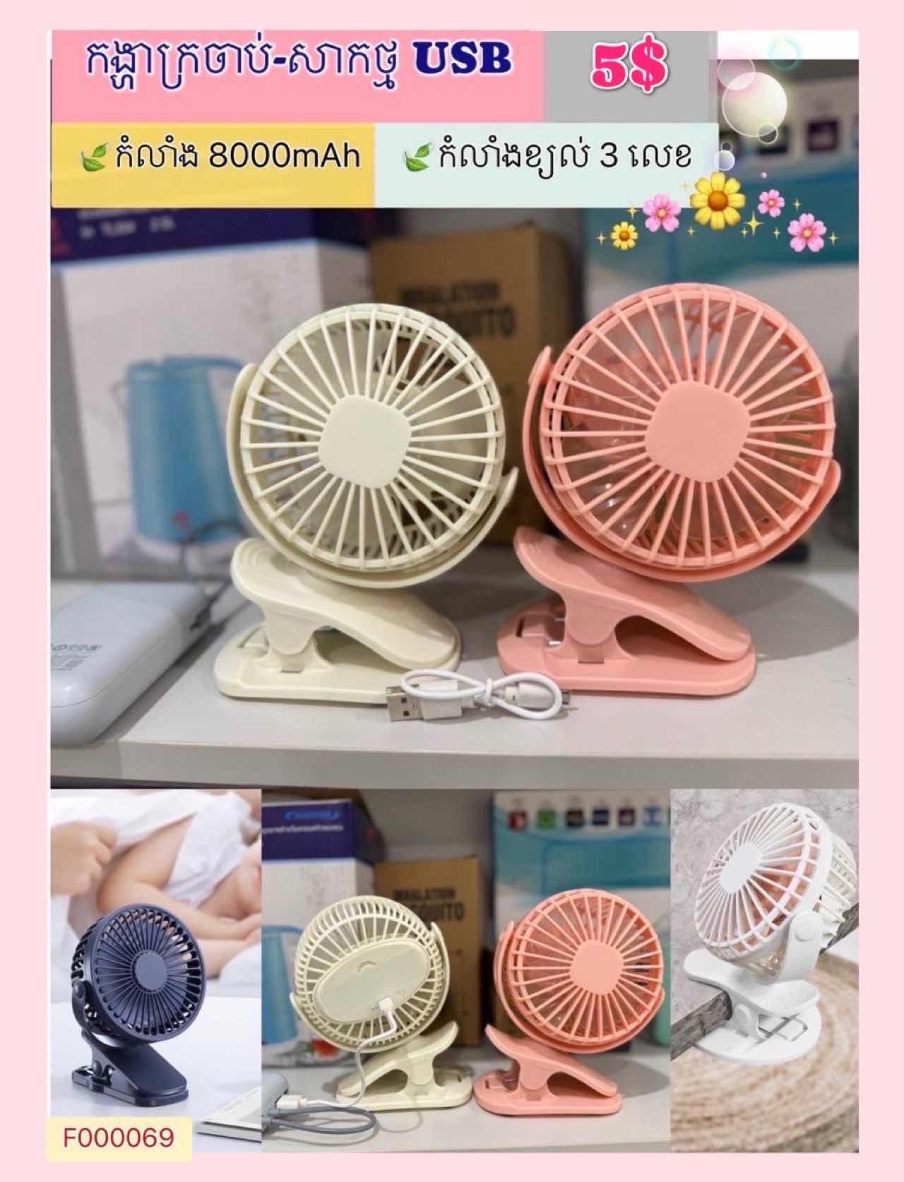 កូនកង្ហាសាកថ្ម