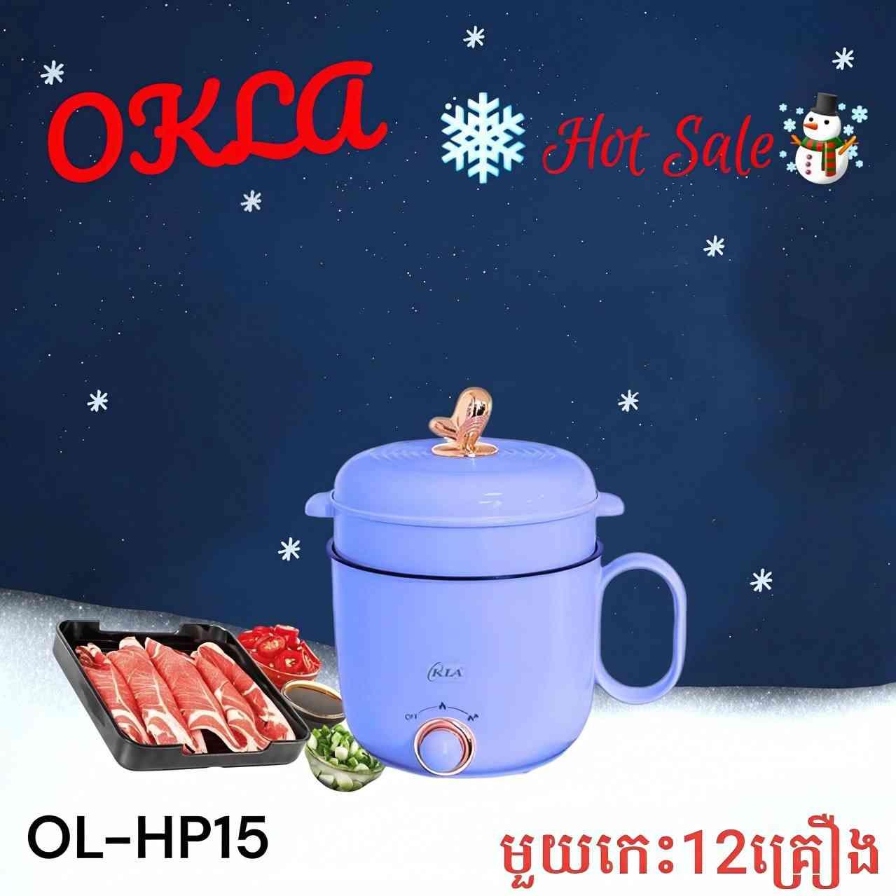 OKLA Mini multi function cooker