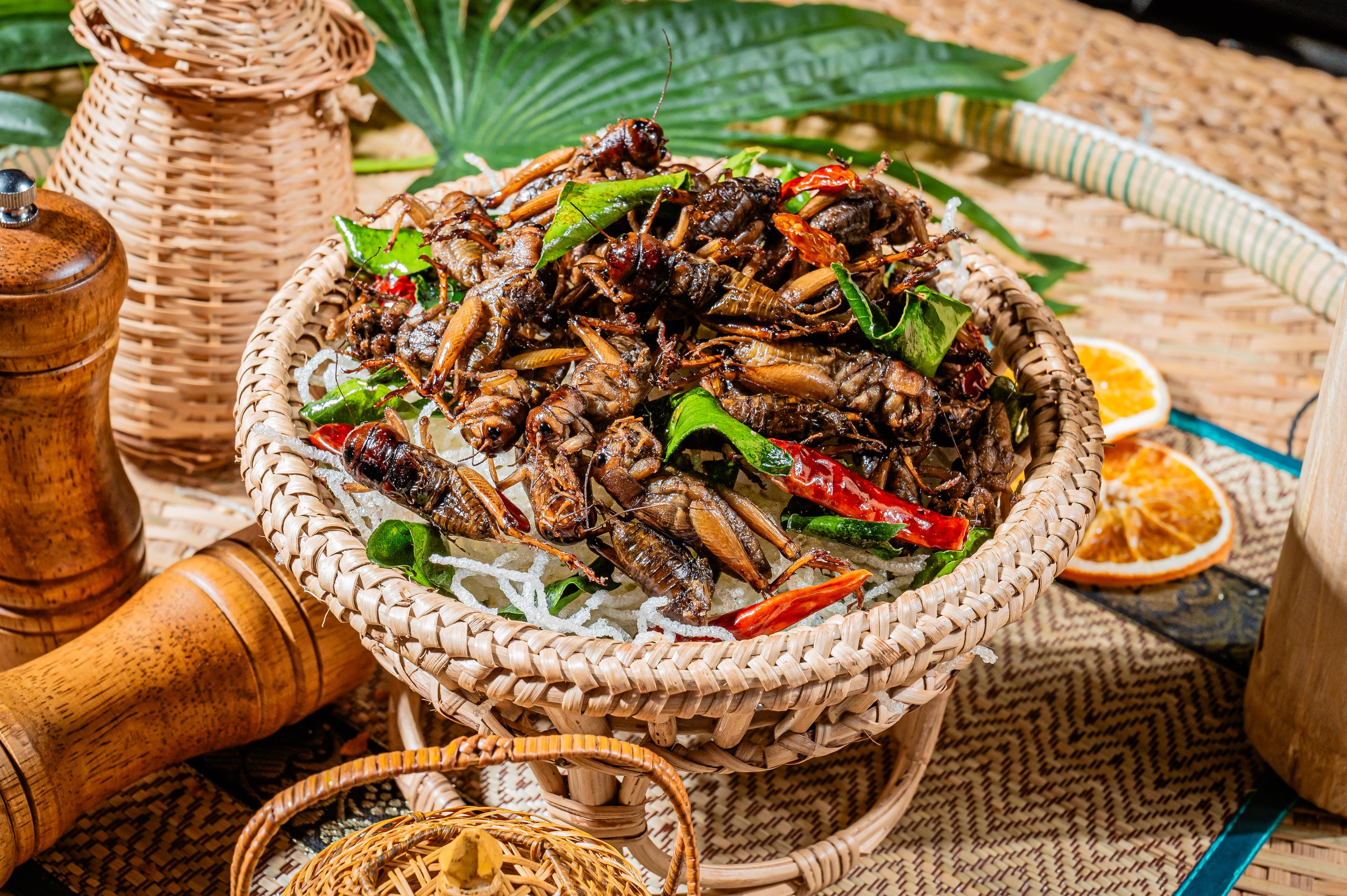 ចង្រិតបំពង Deep fried Crickets 炸蟋蟀