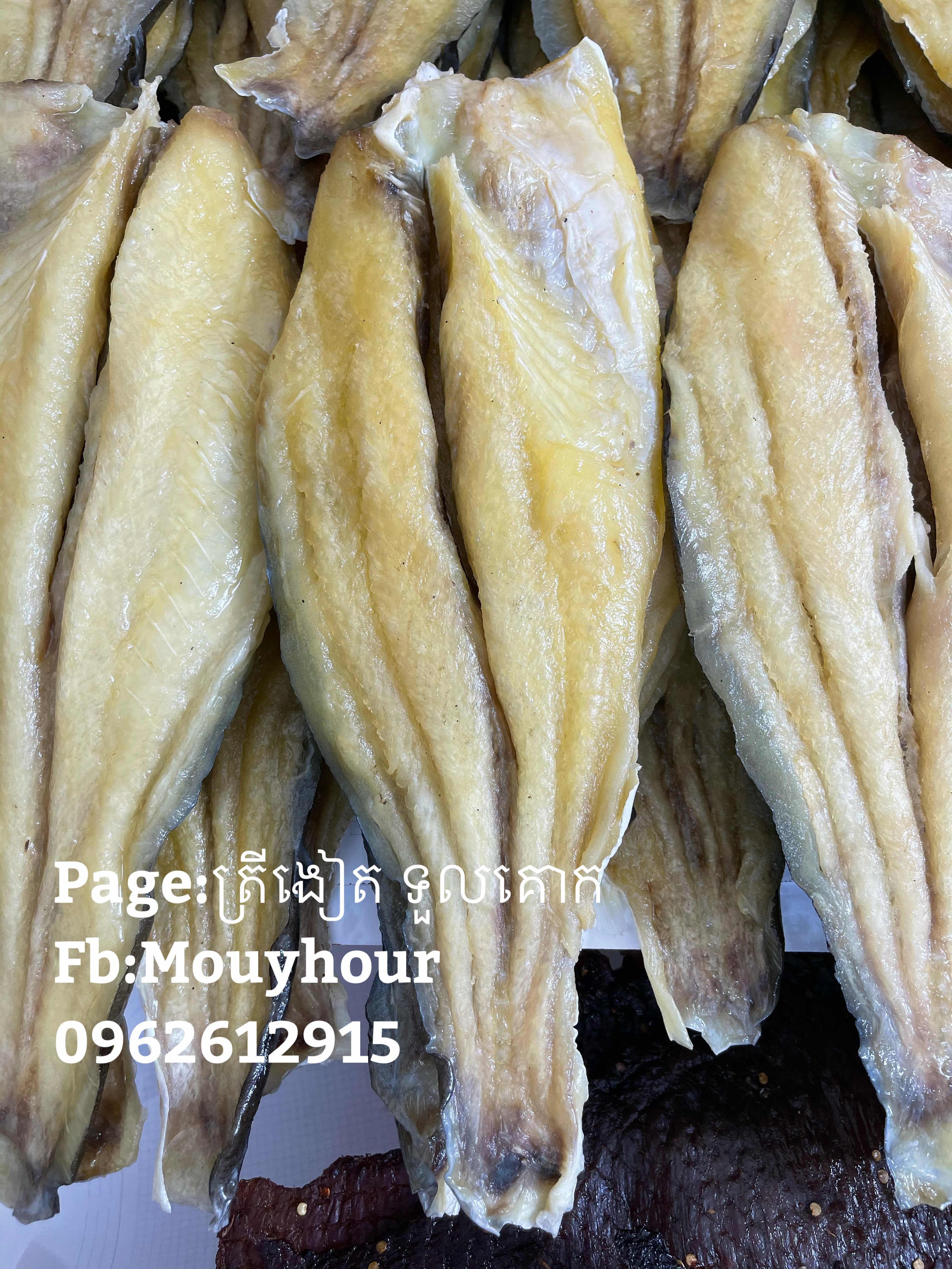 ត្រីប្រាទន្លេសាច់សុត
