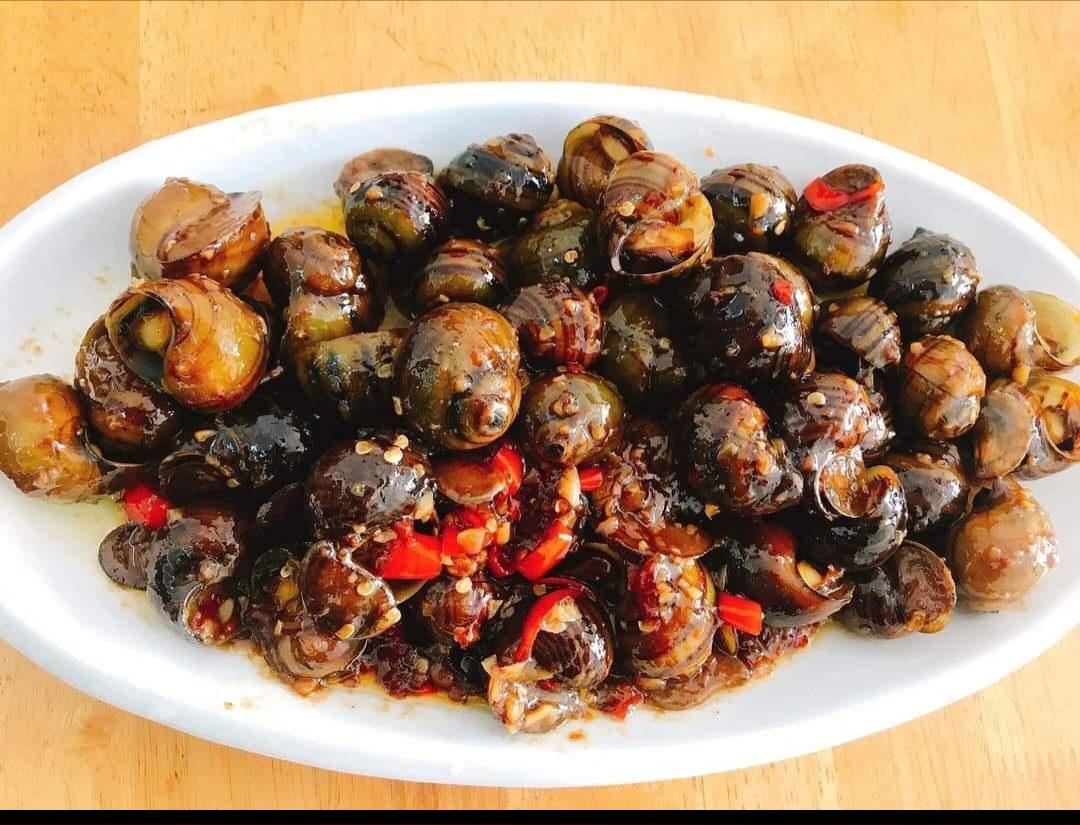 ខ្យងឆាសាតេ