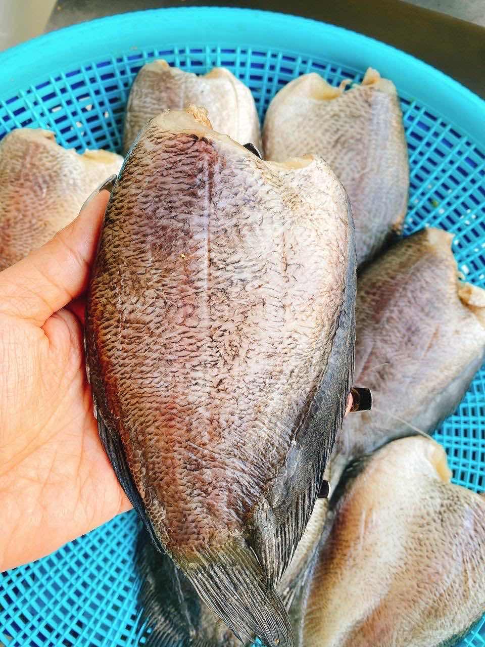 ត្រីកន្ធរប្រឡាក់