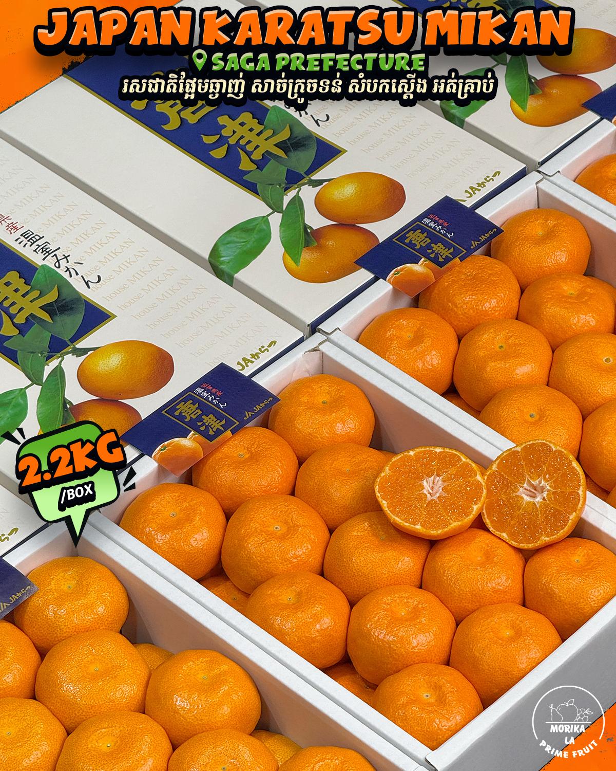 Japan Karatsu Mikan 2.2Kg