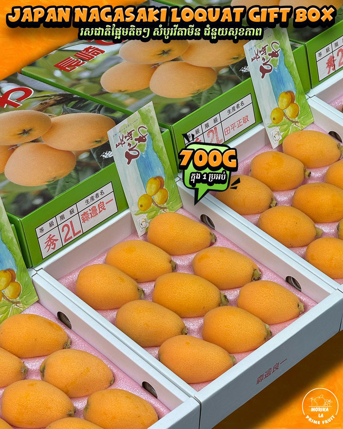 Japan Nagasaki Loquat Gift Box 