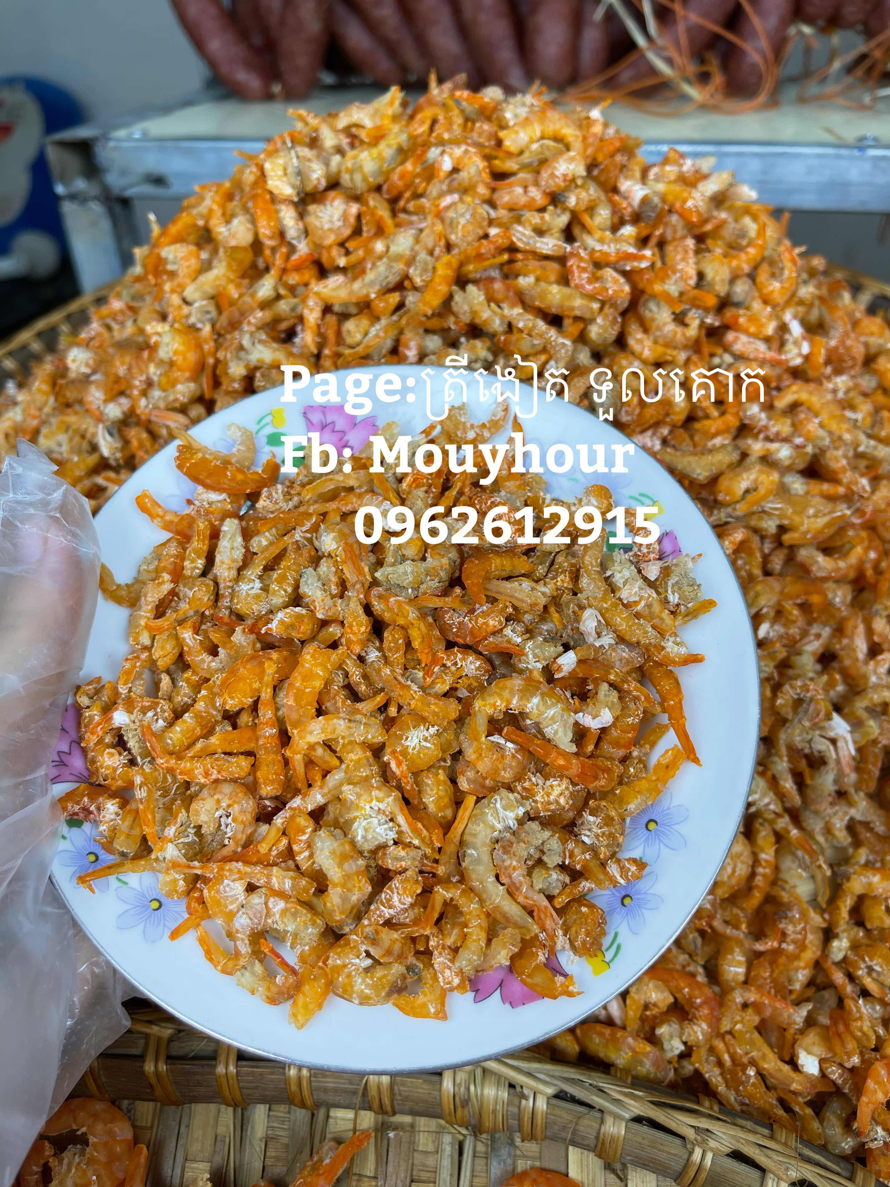 បង្គាតូច
