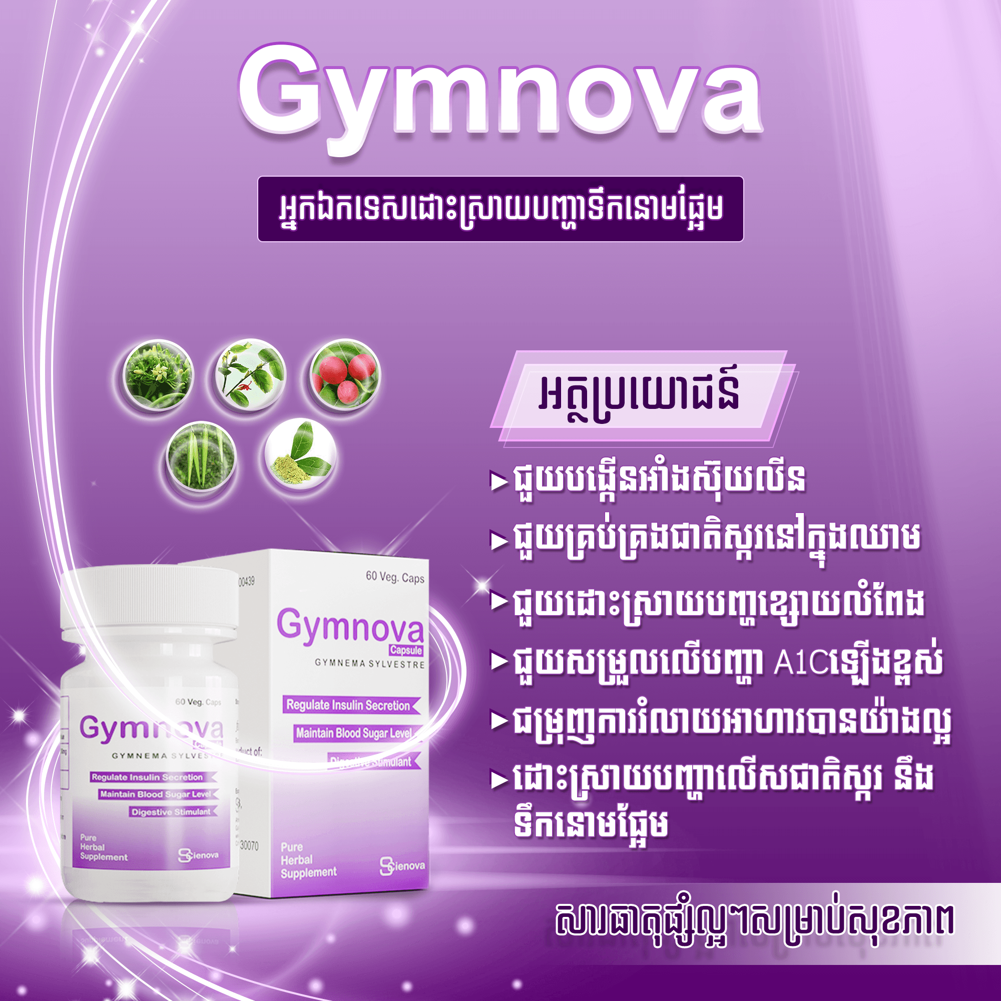 ឱសថ​ព្យាបាល​ទឹក​នោម​ផ្អែម​(Gymnova)