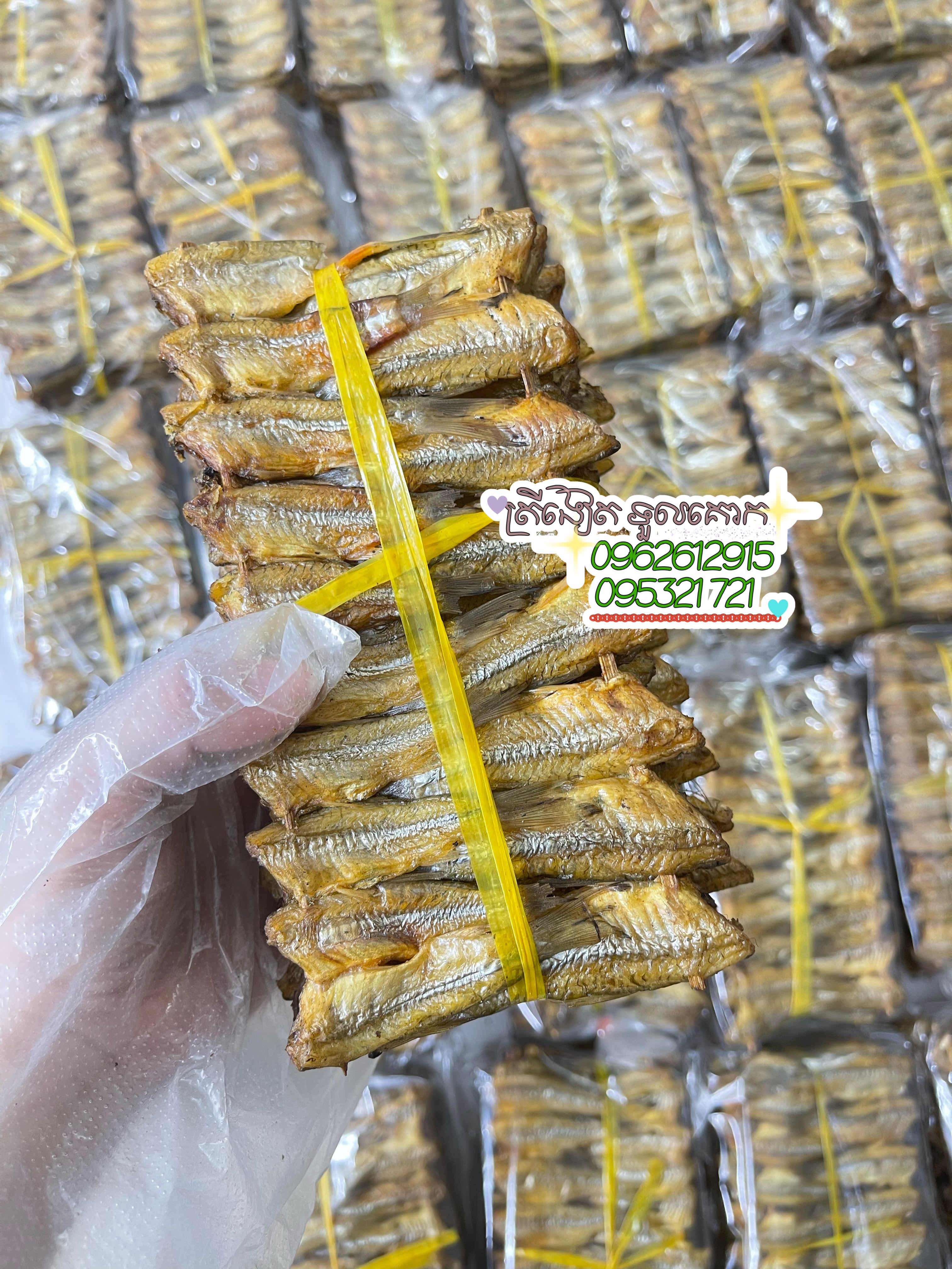ត្រីឆ្អើត្រីចង្វា