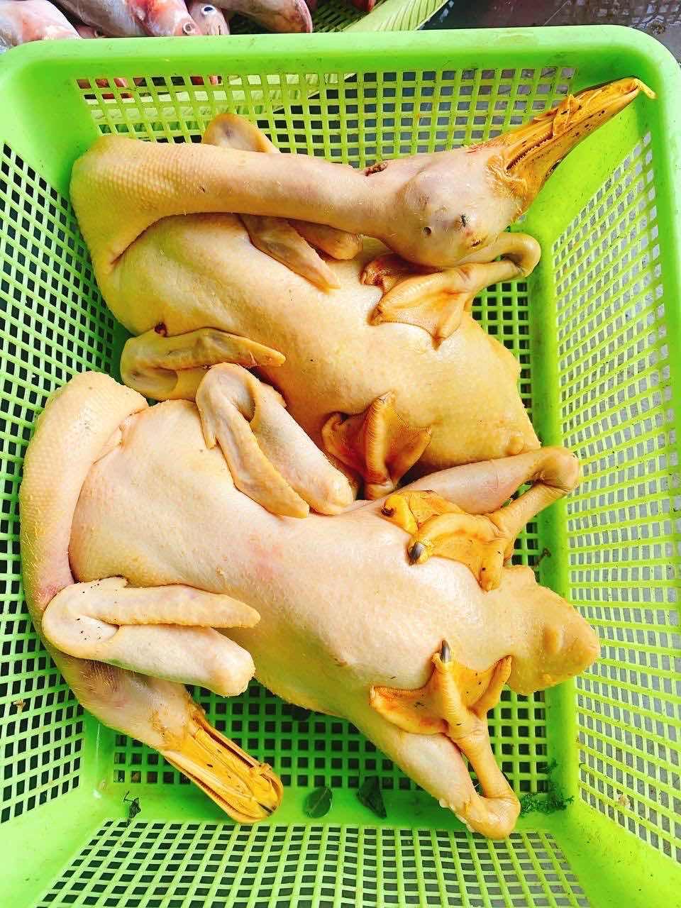 ទាសំពៅ