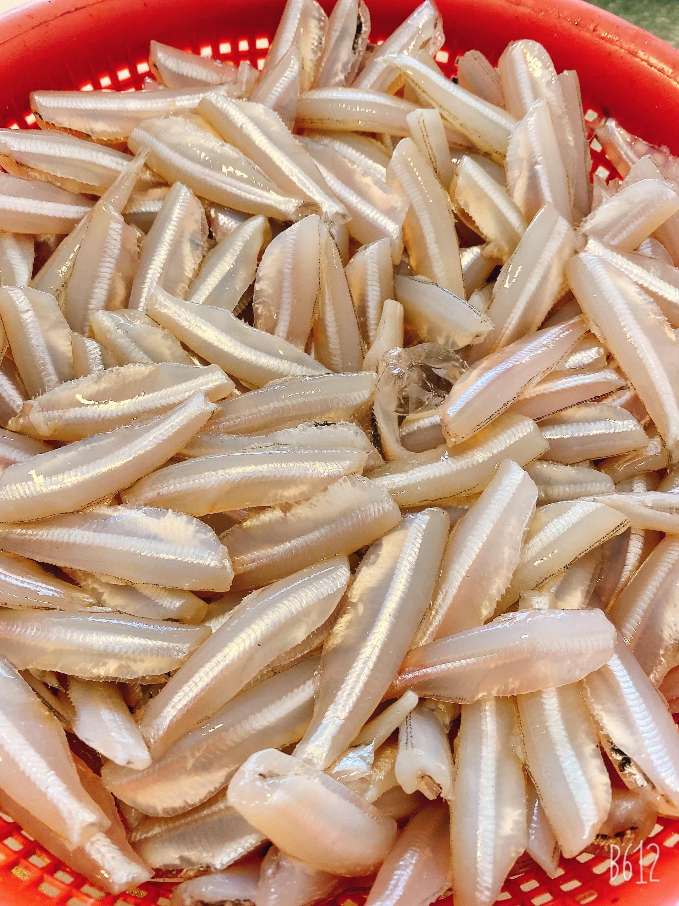 ត្រីបណ្តូលល្ពៅធំៗ