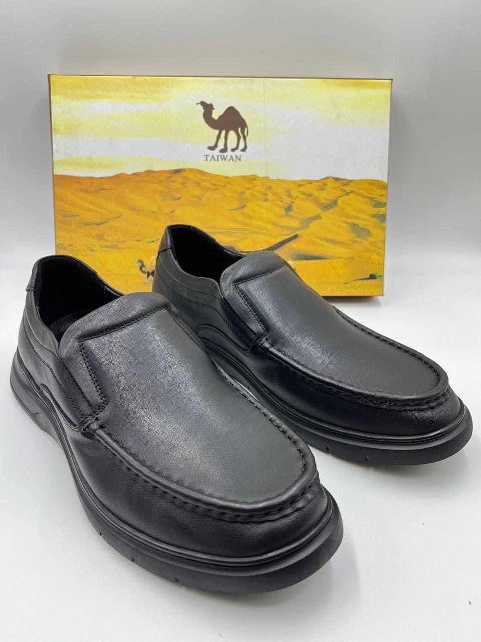 ប៊ូកូនកាត់ camel