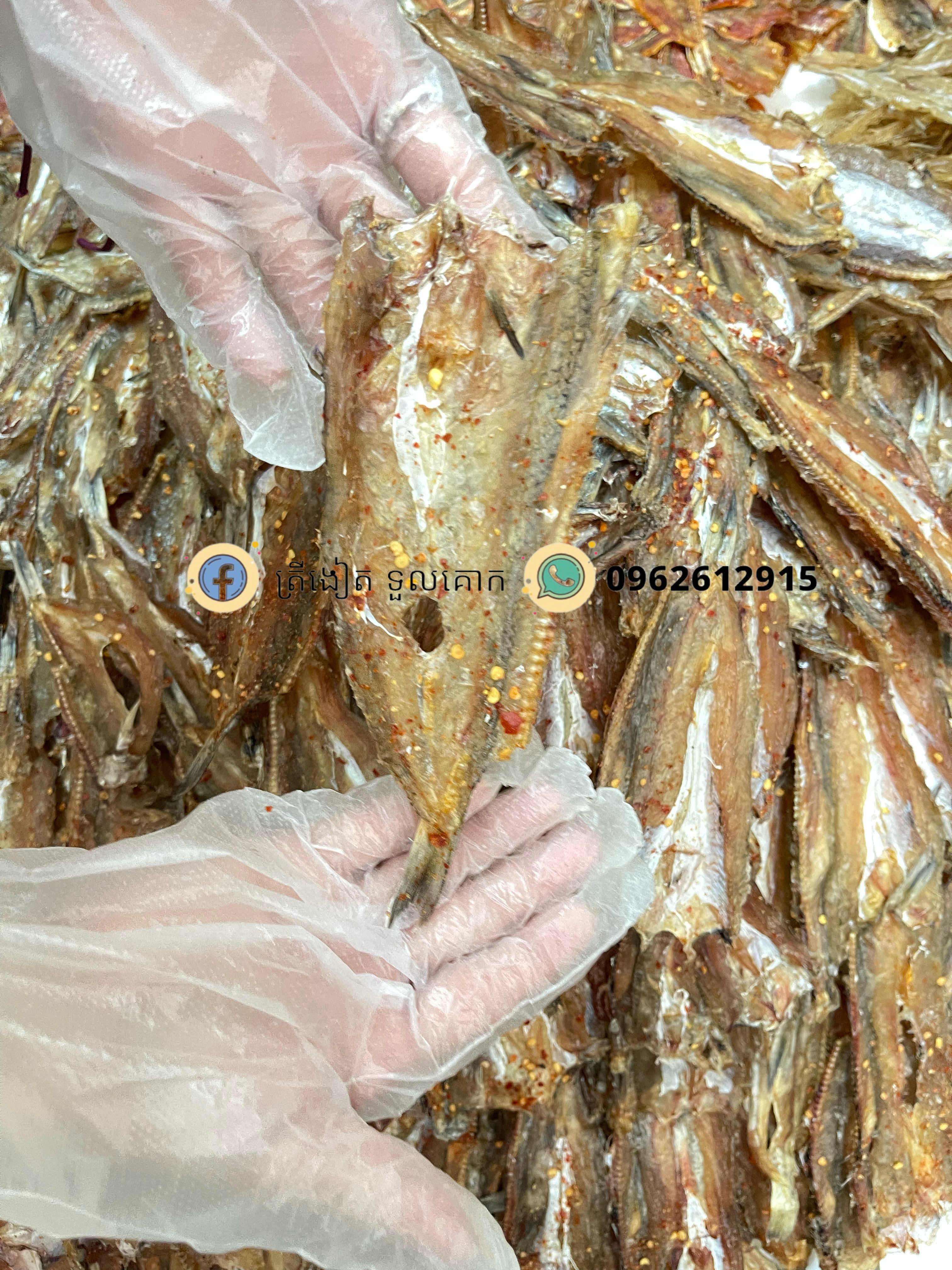 ត្រីចិន