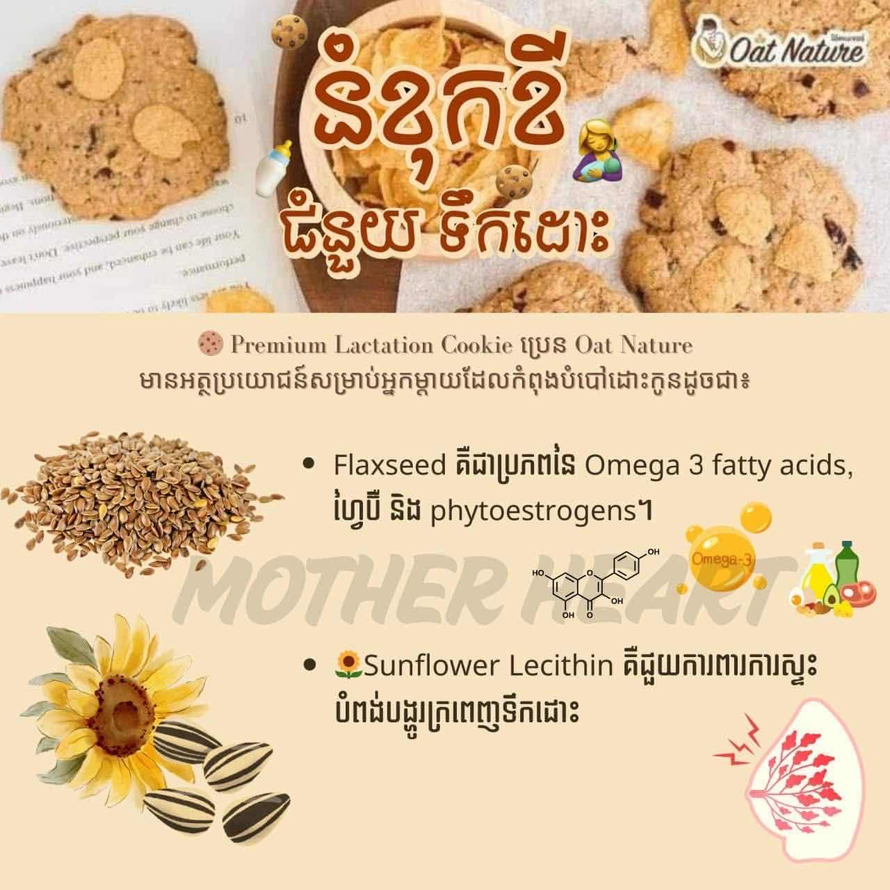 Lactation Cookie ញាំជំនួយការផលិតទឹកដោះ