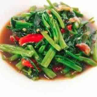 ត្រកួនឆាប្រេងខ្យង