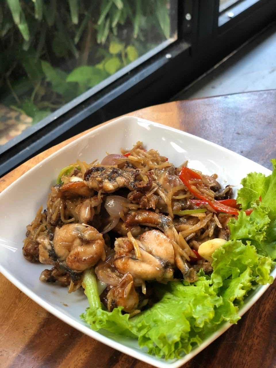 កង្កែបឆាខ្ញី