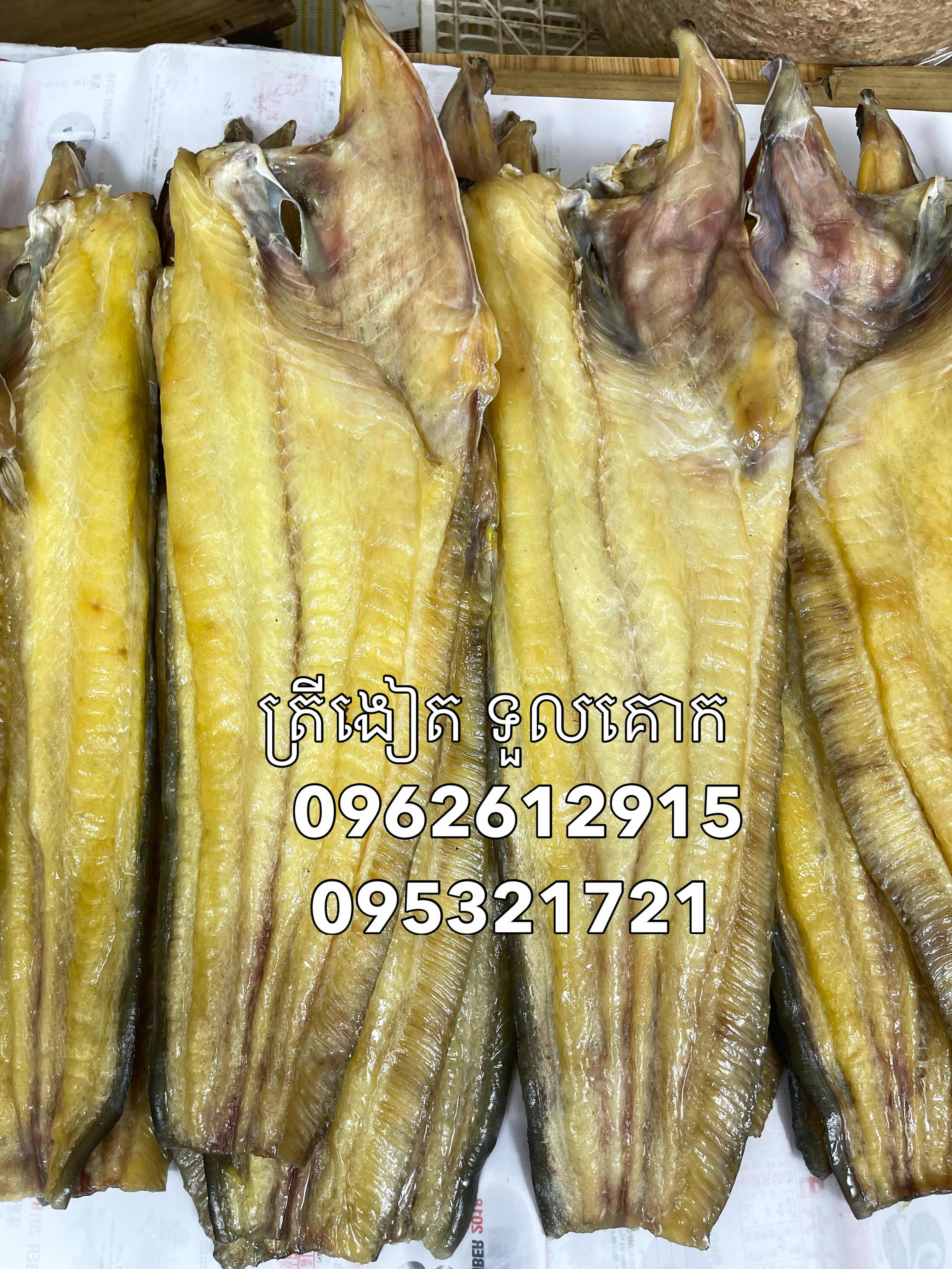 ត្រីសណ្តាយហើម