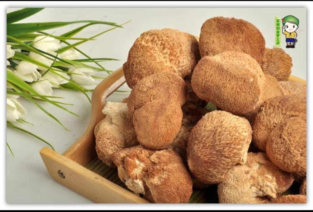 ផ្សិតក្បាលស្វា