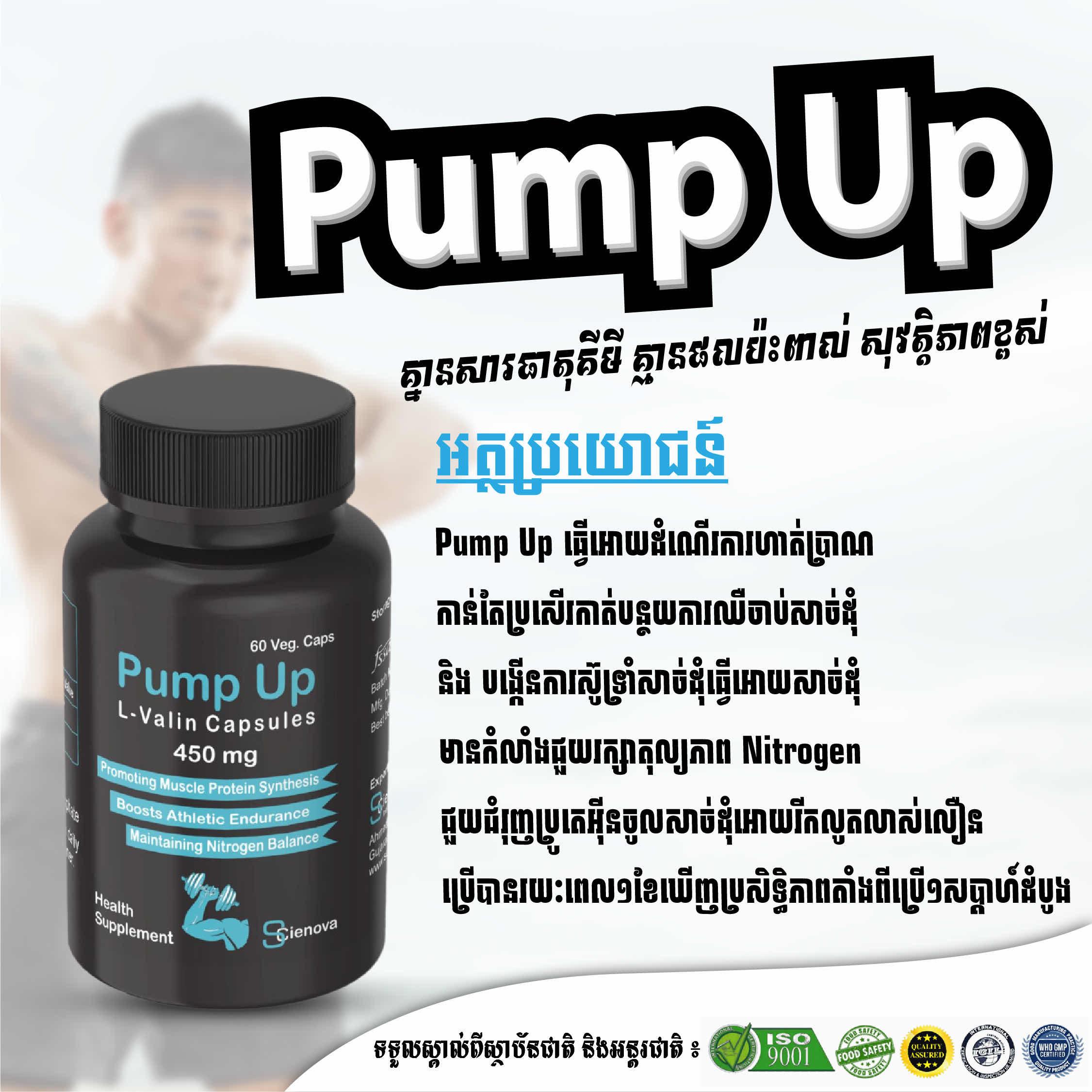 ប្រូតេអ៊ិន Pump Up